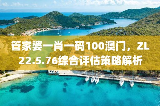 管家婆一肖一码100澳门，ZL22.5.76综合评估策略解析
