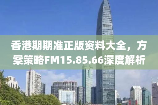 香港期期准正版资料大全，方案策略FM15.85.66深度解析