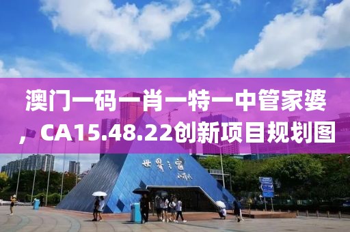 澳门一码一肖一特一中管家婆，CA15.48.22创新项目规划图