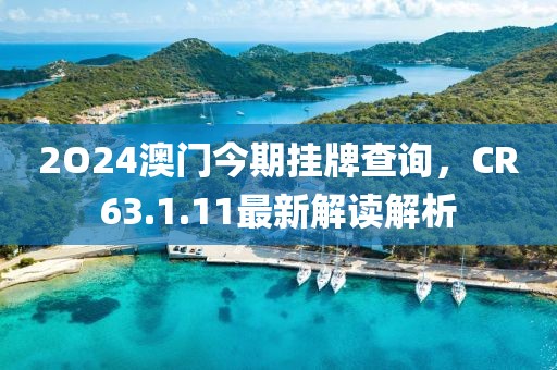 2O24澳门今期挂牌查询，CR63.1.11最新解读解析