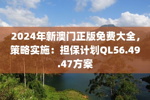 2024年新澳门正版免费大全，策略实施：担保计划QL56.49.47方案