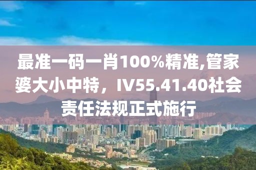 最准一码一肖100%精准,管家婆大小中特，IV55.41.40社会责任法规正式施行