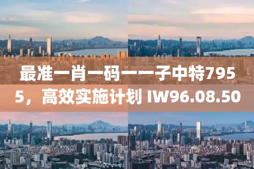 最准一肖一码一一子中特7955，高效实施计划 IW96.08.50