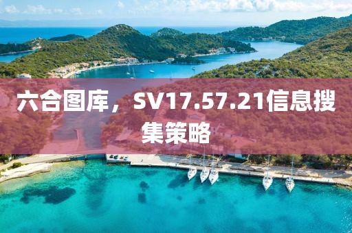 六合图库，SV17.57.21信息搜集策略