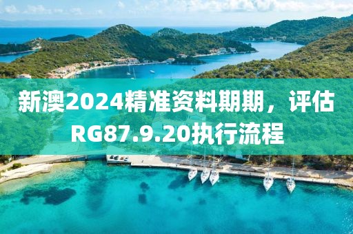新澳2024精准资料期期，评估RG87.9.20执行流程