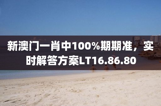 新澳门一肖中100%期期准，实时解答方案LT16.86.80
