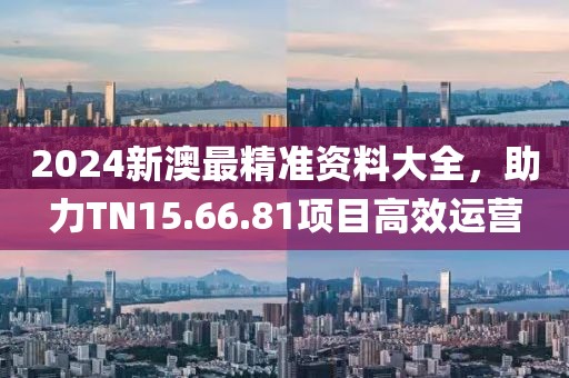 2024新澳最精准资料大全，助力TN15.66.81项目高效运营