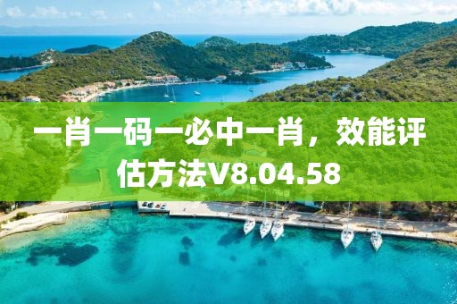 一肖一码一必中一肖，效能评估方法V8.04.58