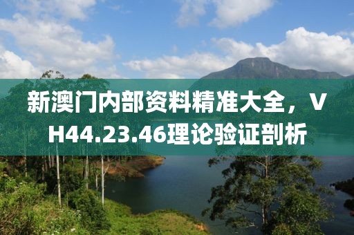 新澳门内部资料精准大全，VH44.23.46理论验证剖析