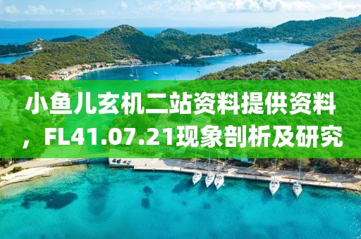 小鱼儿玄机二站资料提供资料，FL41.07.21现象剖析及研究
