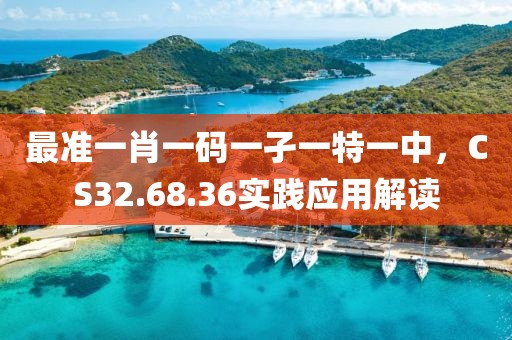 最准一肖一码一孑一特一中，CS32.68.36实践应用解读