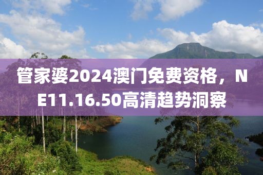 管家婆2024澳门免费资格，NE11.16.50高清趋势洞察