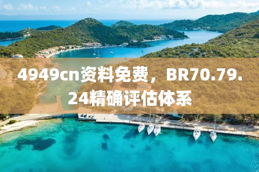 4949cn资料免费，BR70.79.24精确评估体系