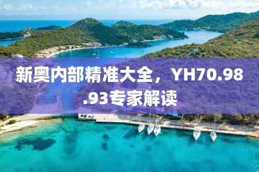 新奥内部精准大全，YH70.98.93专家解读
