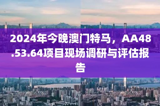 2024年今晚澳门特马，AA48.53.64项目现场调研与评估报告