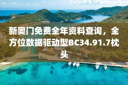 新奥门免费全年资料查询，全方位数据驱动型BC34.91.7枕头
