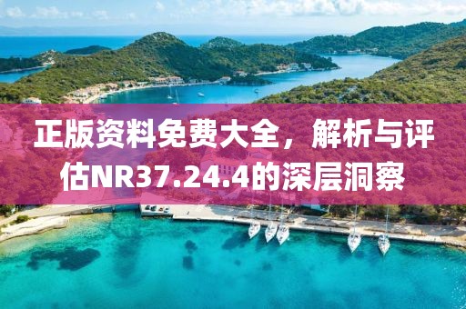 正版资料免费大全，解析与评估NR37.24.4的深层洞察