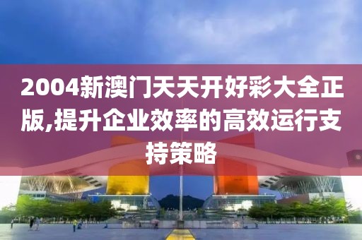 2004新澳门天天开好彩大全正版,提升企业效率的高效运行支持策略