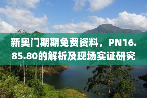 新奥门期期免费资料，PN16.85.80的解析及现场实证研究