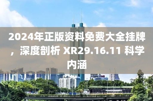 2024年正版资料免费大全挂牌，深度剖析 XR29.16.11 科学内涵
