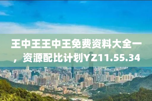王中王王中王免费资料大全一，资源配比计划YZ11.55.34