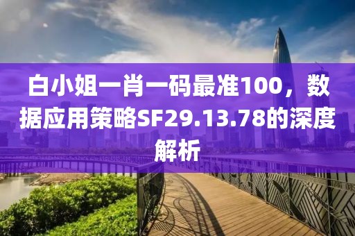 白小姐一肖一码最准100，数据应用策略SF29.13.78的深度解析