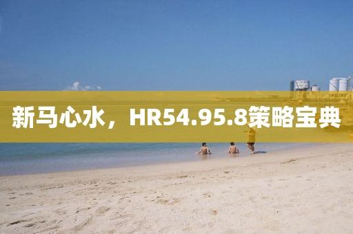 新马心水，HR54.95.8策略宝典