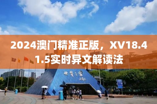 2024澳门精准正版，XV18.41.5实时异文解读法