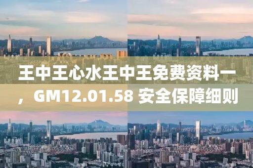 王中王心水王中王免费资料一，GM12.01.58 安全保障细则