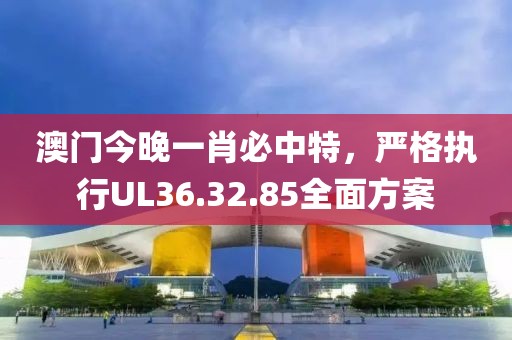 澳门今晚一肖必中特，严格执行UL36.32.85全面方案
