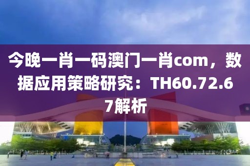 今晚一肖一码澳门一肖com，数据应用策略研究：TH60.72.67解析