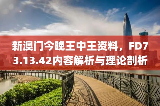 新澳门今晚王中王资料，FD73.13.42内容解析与理论剖析