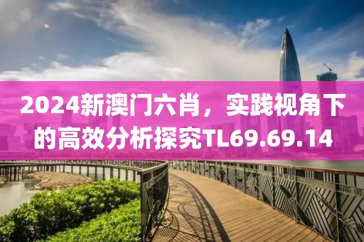 2024新澳门六肖，实践视角下的高效分析探究TL69.69.14