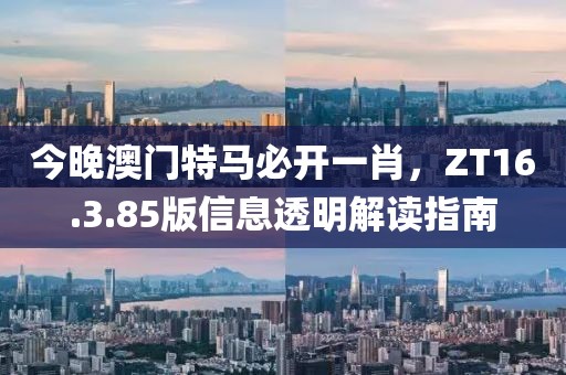 今晚澳门特马必开一肖，ZT16.3.85版信息透明解读指南