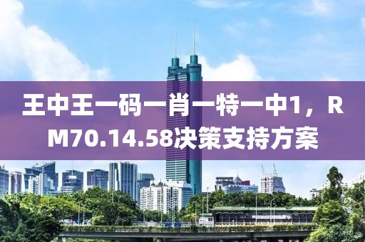 王中王一码一肖一特一中1，RM70.14.58决策支持方案