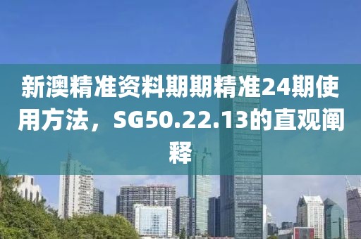 新澳精准资料期期精准24期使用方法，SG50.22.13的直观阐释