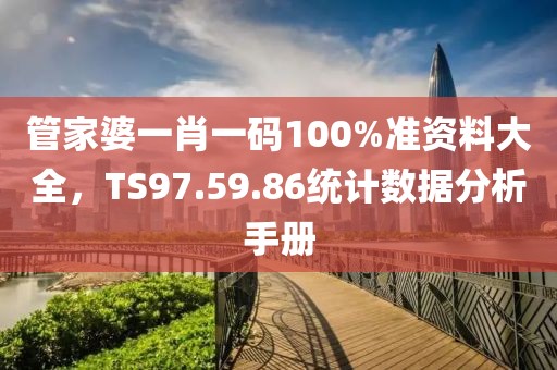 管家婆一肖一码100%准资料大全，TS97.59.86统计数据分析手册