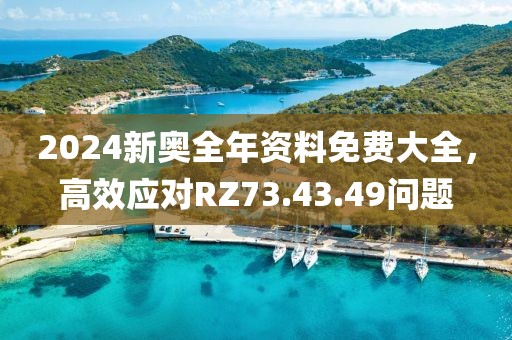 2024新奥全年资料免费大全，高效应对RZ73.43.49问题