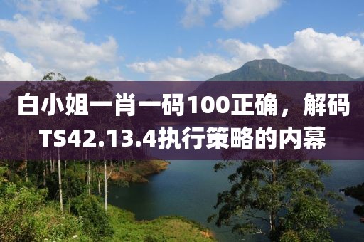 白小姐一肖一码100正确，解码TS42.13.4执行策略的内幕