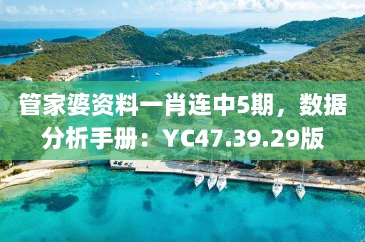 管家婆资料一肖连中5期，数据分析手册：YC47.39.29版