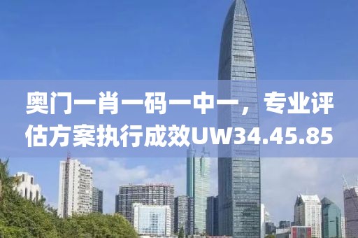 奥门一肖一码一中一，专业评估方案执行成效UW34.45.85