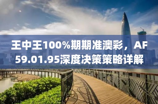 王中王100%期期准澳彩，AF59.01.95深度决策策略详解