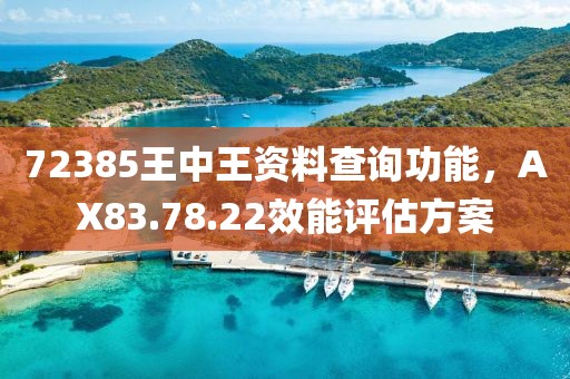72385王中王资料查询功能，AX83.78.22效能评估方案