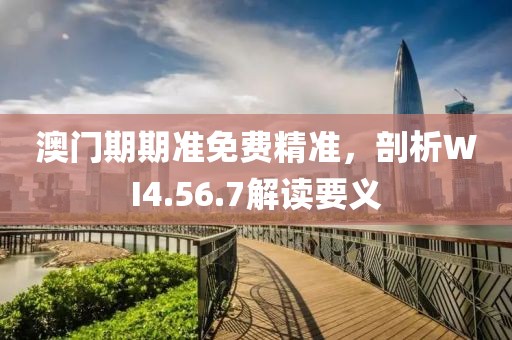 澳门期期准免费精准，剖析WI4.56.7解读要义