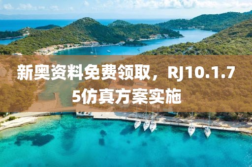 新奥资料免费领取，RJ10.1.75仿真方案实施