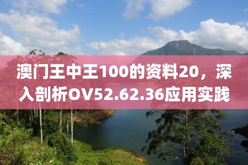 澳门王中王100的资料20，深入剖析OV52.62.36应用实践