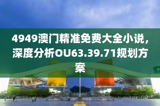 4949澳门精准免费大全小说，深度分析OU63.39.71规划方案