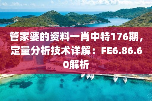 管家婆的资料一肖中特176期，定量分析技术详解：FE6.86.60解析