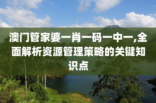 澳门管家婆一肖一码一中一,全面解析资源管理策略的关键知识点