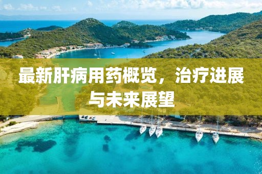 最新肝病用药概览，治疗进展与未来展望